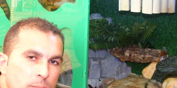 Şarpele cu două capete