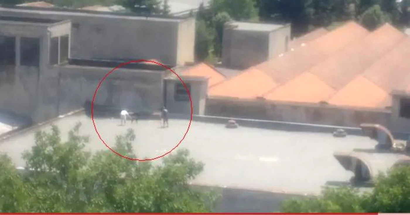 Câinele a fost abandonat pe o hală