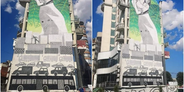 desen mural alba iulia