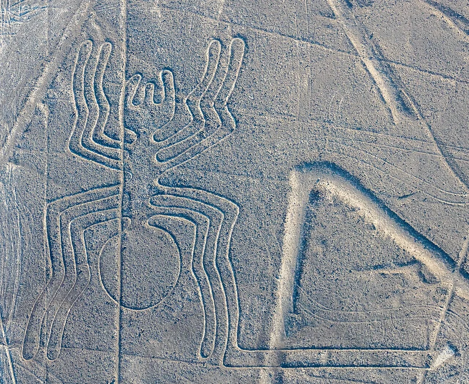 Liniile Nazca: păianjenul (la Araña), în 2015