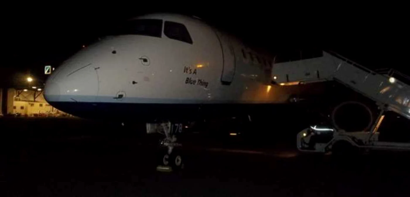 Două gâște, vinovate de aterizarea de urgență a unui avion