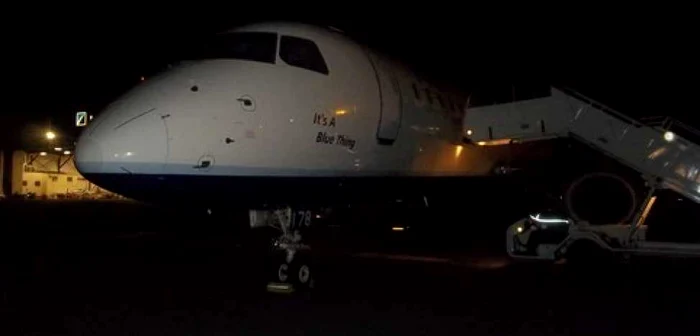 Două gâște, vinovate de aterizarea de urgență a unui avion