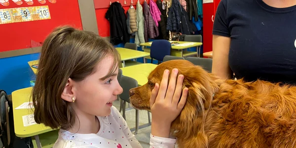 Ora cu si pentru animale 5 FOTO Protectia Amimalelor CJ Ilfov jpg