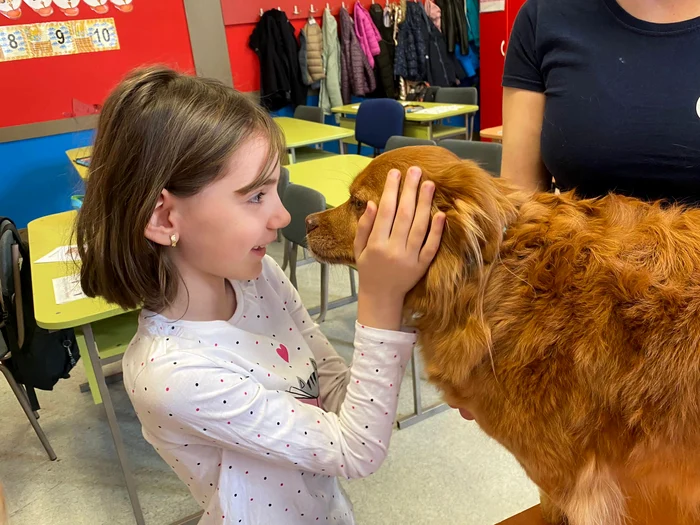 ,,Ora cu și pentru animale" FOTO Biroul pentru Protecția Animalelor Ilfov