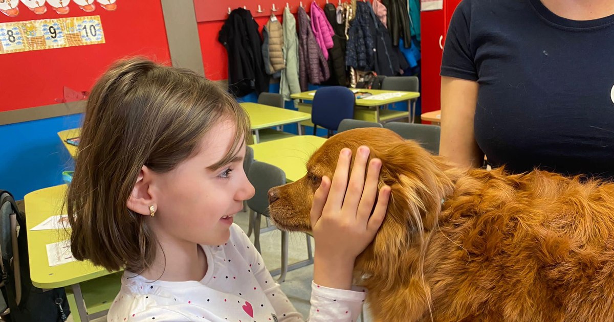 Grija pentru animale, materie opțională în școli: „Îi învață pe copii dragostea necondiționată”