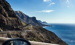 canary 4360002 640 jpeg