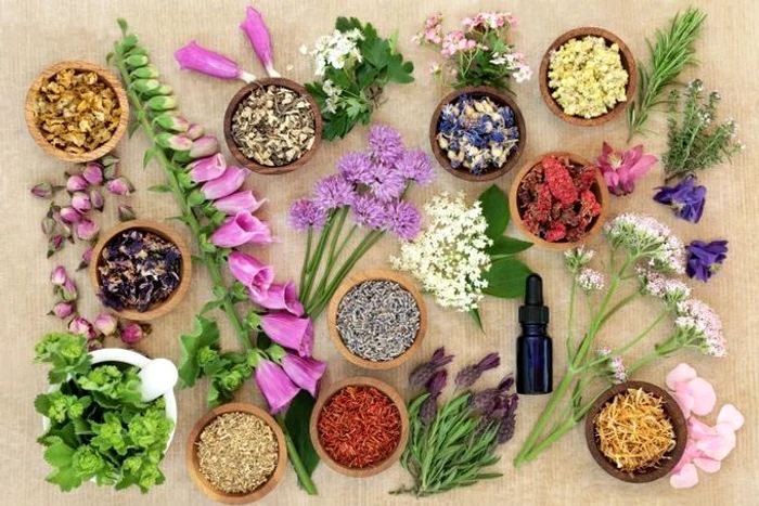 1 shutterstock 1091827718 jpg jpeg