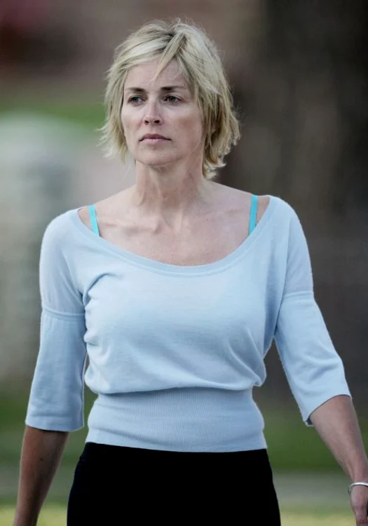 Sharon Stone (FOTO WENN)