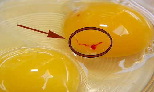 1 83155 original jpg jpeg