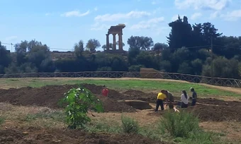 Descoperiri arheologice în apropierea Văii Templelor din Agrigento