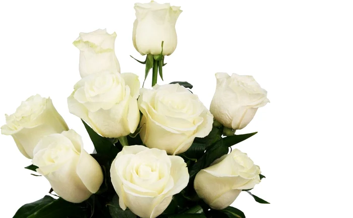 
    Trandafirii albi în vis înseamnă invitaţie la nuntă  