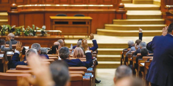Camera Deputatilor vot maini FOTO Shutterstock jpg