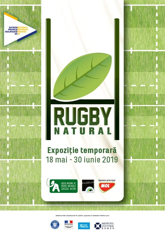 antipa rugby poster A3 v4 768x1086 jpg jpeg