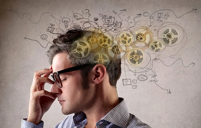 Berbecii se simt copleșiți de emoții Sursă foto: Pixabay.com