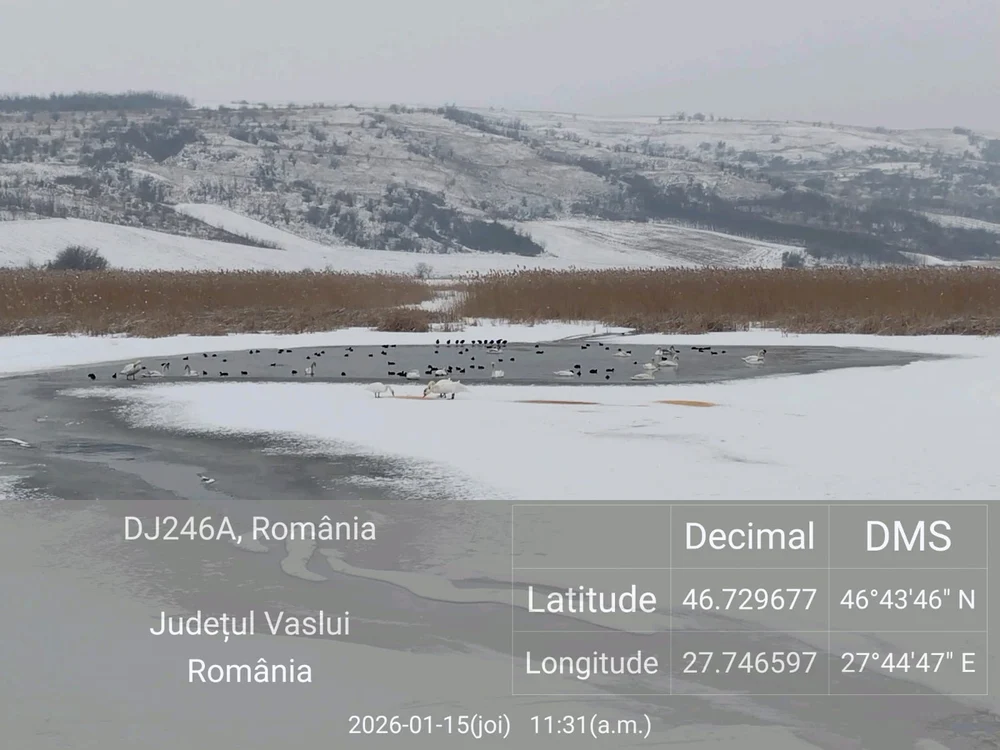 Cele opt cadavre au fost găsite pe lacul Moara Domnească FOTO: Gada de Mediu Vaslui
