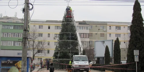 Luminile din brad vor fi aprinse pe 1 decembrie