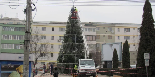 Luminile din brad vor fi aprinse pe 1 decembrie