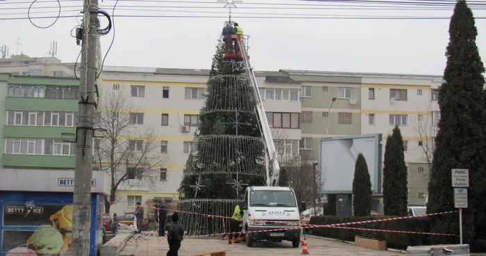 Luminile din brad vor fi aprinse pe 1 decembrie
