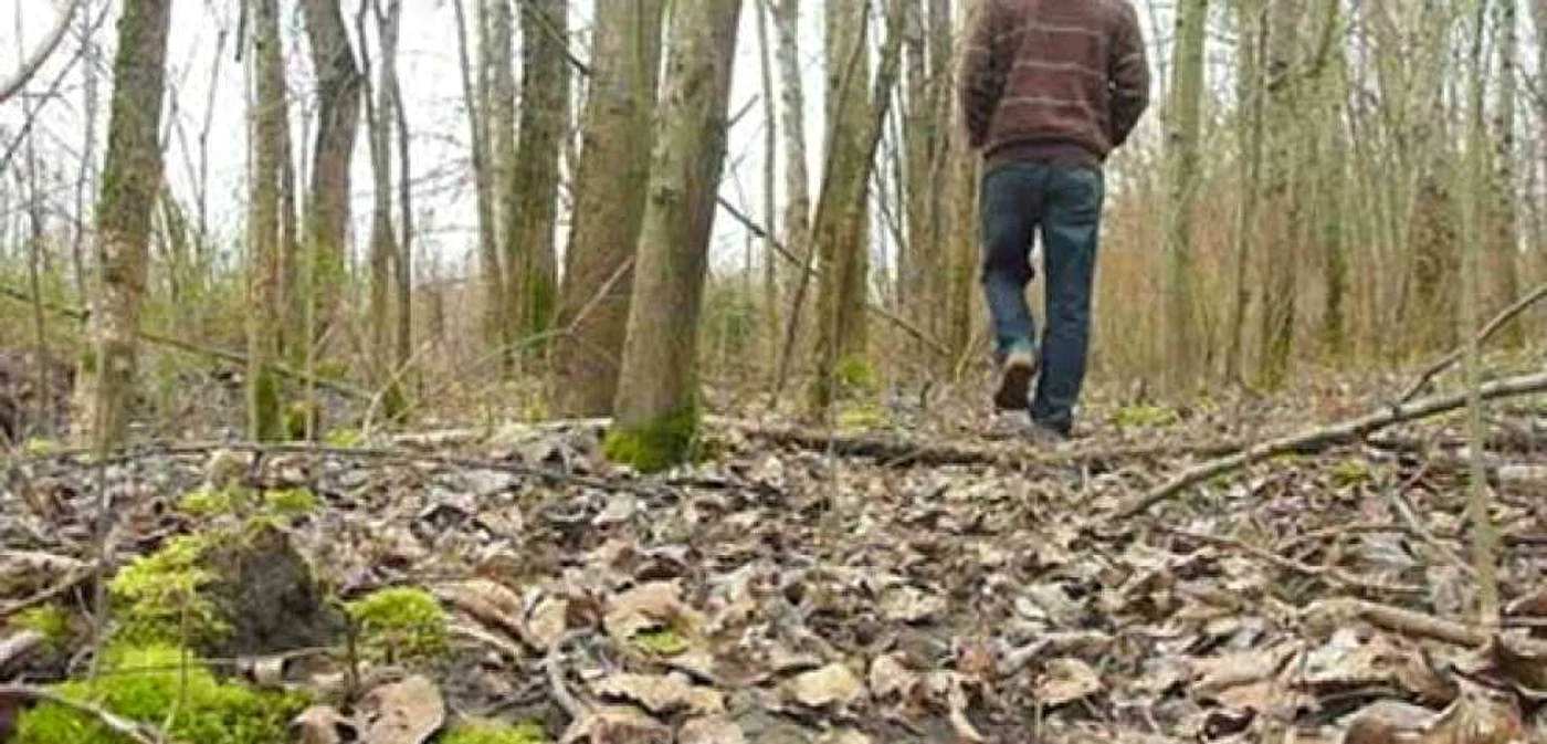 Pădurarul a fost atacat de hoţii prinşi în flagrant Foto: Arhiva