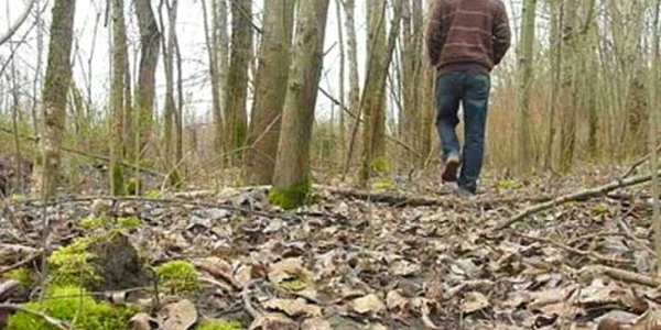 Pădurarul a fost atacat de hoţii prinşi în flagrant Foto