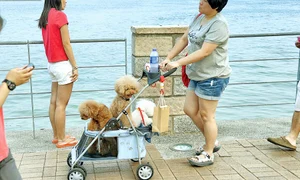 CLIIMA20140417 0107 1 jpeg