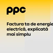 vizual PPC   nou layout 2 png