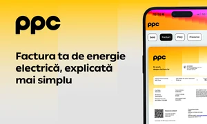vizual PPC   nou layout 2 png