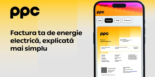 vizual PPC   nou layout 2 png