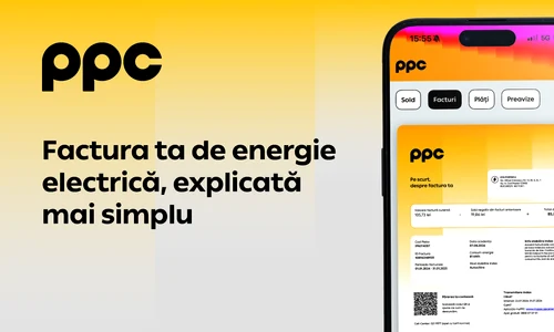 vizual PPC   nou layout 2 png