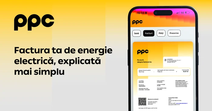 vizual PPC   nou layout 2 png