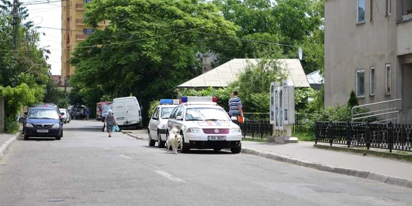 Maşină de Poliţie (Foto arhivă)