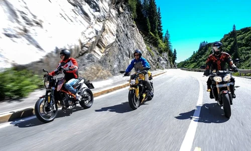 557196 451153784924511 411336118 n jpeg