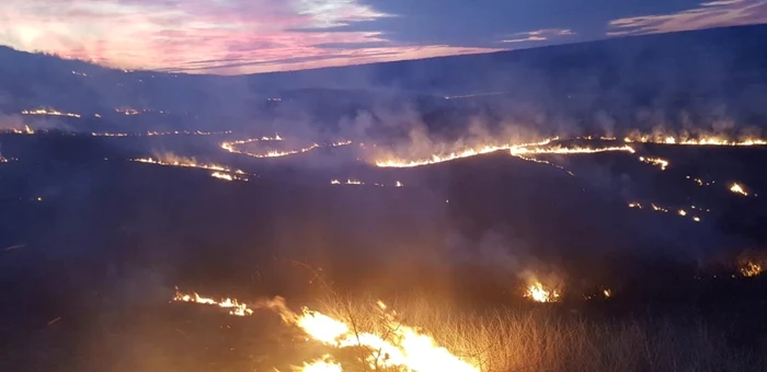 Focul a cuprins aproximativ 100 de hectare de vegetaţie uscată şi stuf FOTO Adevărul