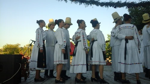 Dansatorii profesioniști vor ieși la pensie mai repede