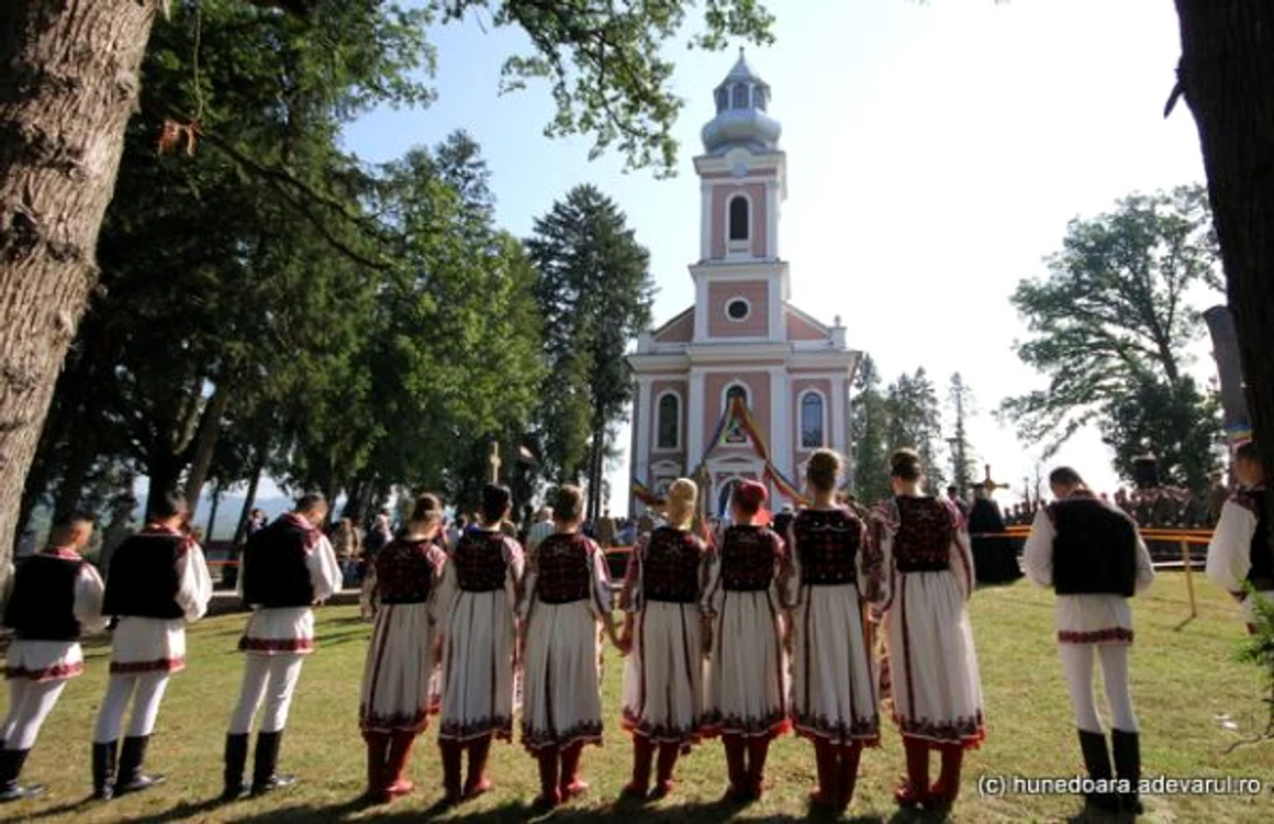 tara zarandului