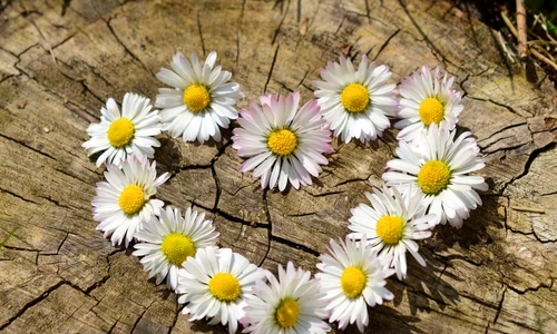 1 69471 original jpg jpeg