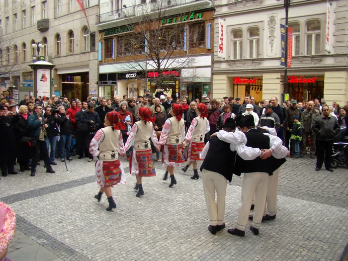 Ansamblul "Ţara Vrancei"