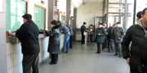 Foto Adevărul Ploiești