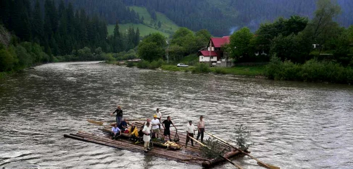 Pluta a refăcut o parte din traseul pe care era întâlnită frecvent odinioară