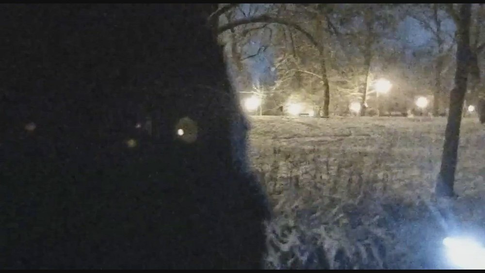 Urmărit de o haită de câini, un bărbat a căzut în lacul unui parc din Craiova. Reacția Primăriei