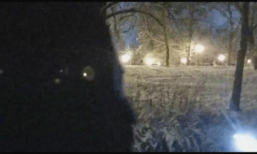 Urmărit de o haită de câini un bărbat a căzut într un lac dintr un parc din Craiova   VIDEO JANDARMERIA ROMANA mp4 thumbnail png