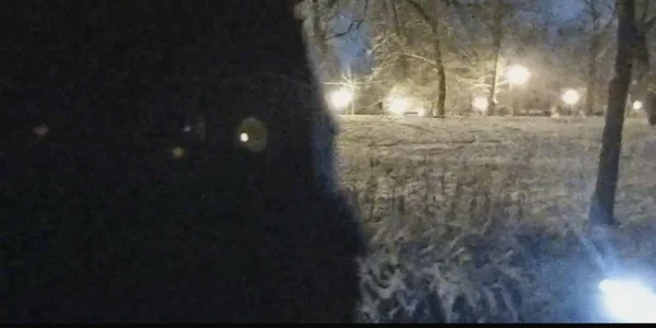 Urmărit de o haită de câini un bărbat a căzut într un lac dintr un parc din Craiova   VIDEO JANDARMERIA ROMANA mp4 thumbnail png