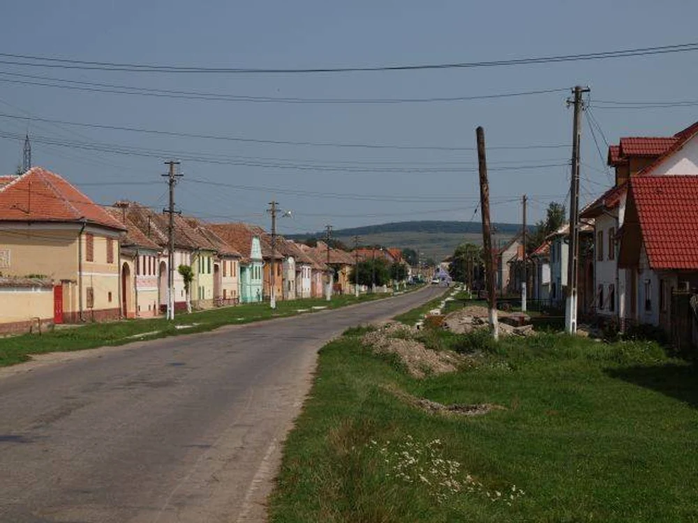 Alegerile din comuna Alțîna sunt deja în topul ciudațeniilor
