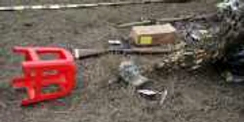Vânătorul a folosit arma aiurea. FOTO: ADEVĂRUL