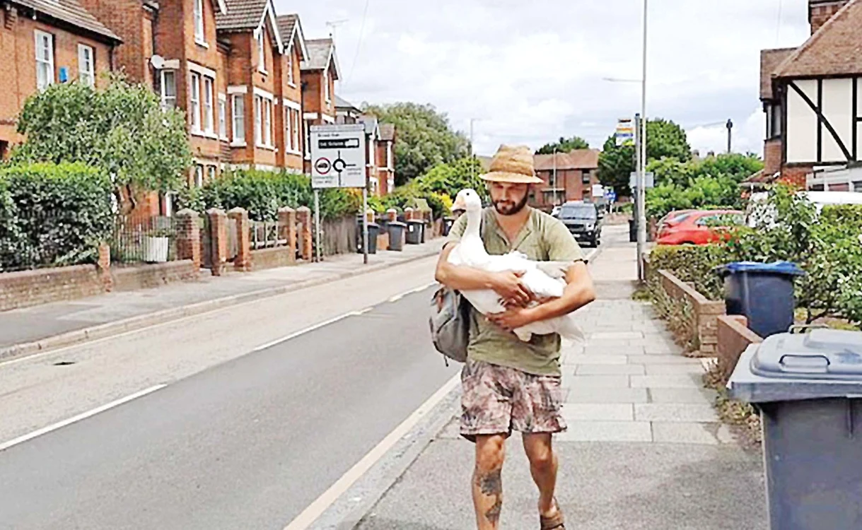 
    James Cosgrove, în vârstă de 28 de ani,  din Canterbury, doarme cu pasărea în pat  