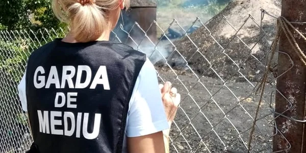 baia de fier mangal foto