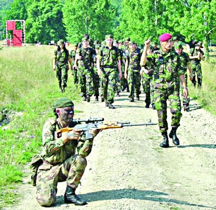 
    Militari  