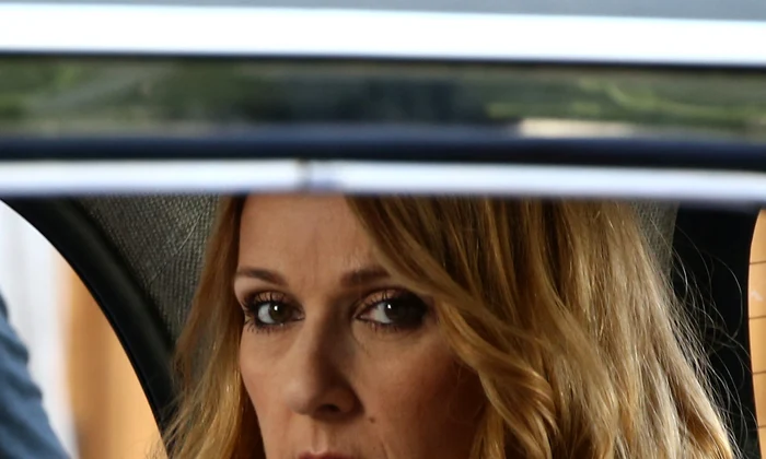 celine dion hepta 2488085 jpeg