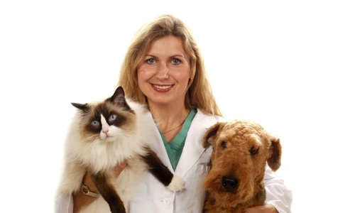 1 47187 original jpg jpeg