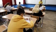 Simulare Evaluarea Nationala FOTO Inquam Photos  George Călin jpg